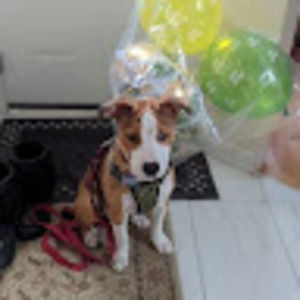 Meet your Posher, Chantelle